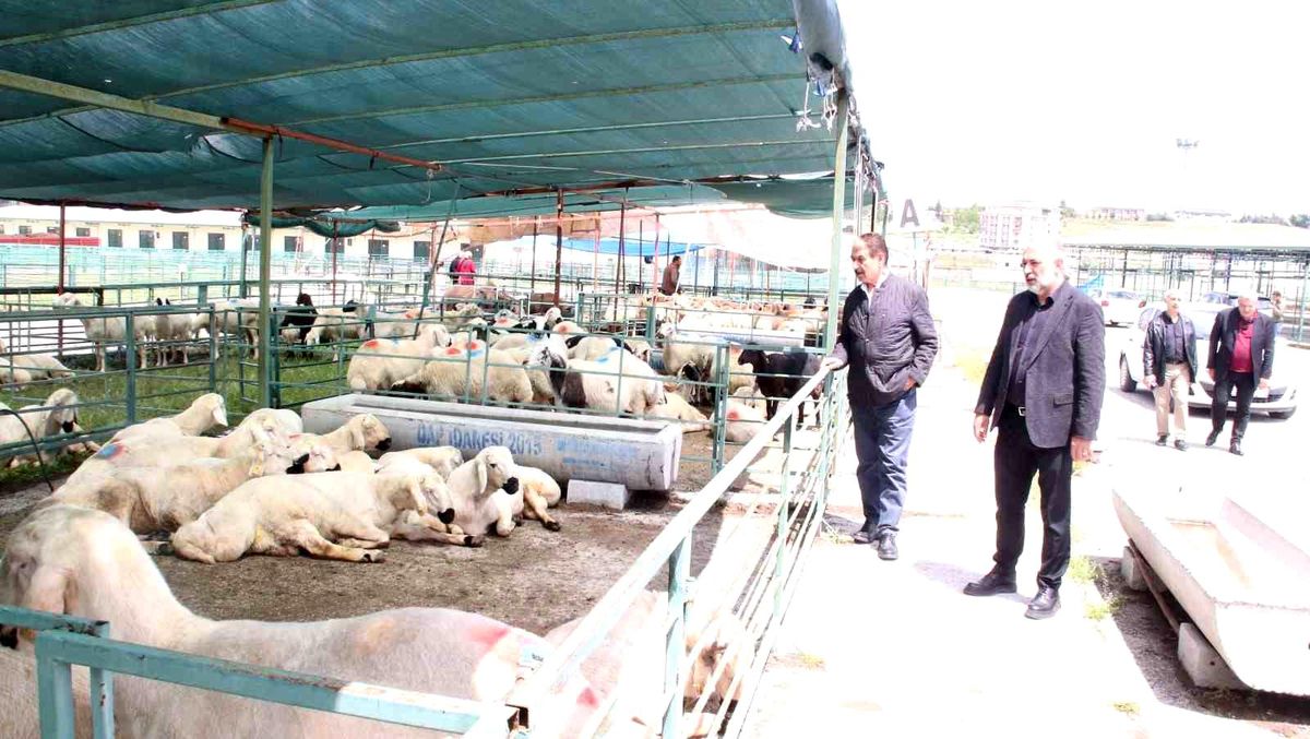 MESOB Başkanı Keskin: “Canlı Hayvan Pazarı yeniden kamu malı olmalı”