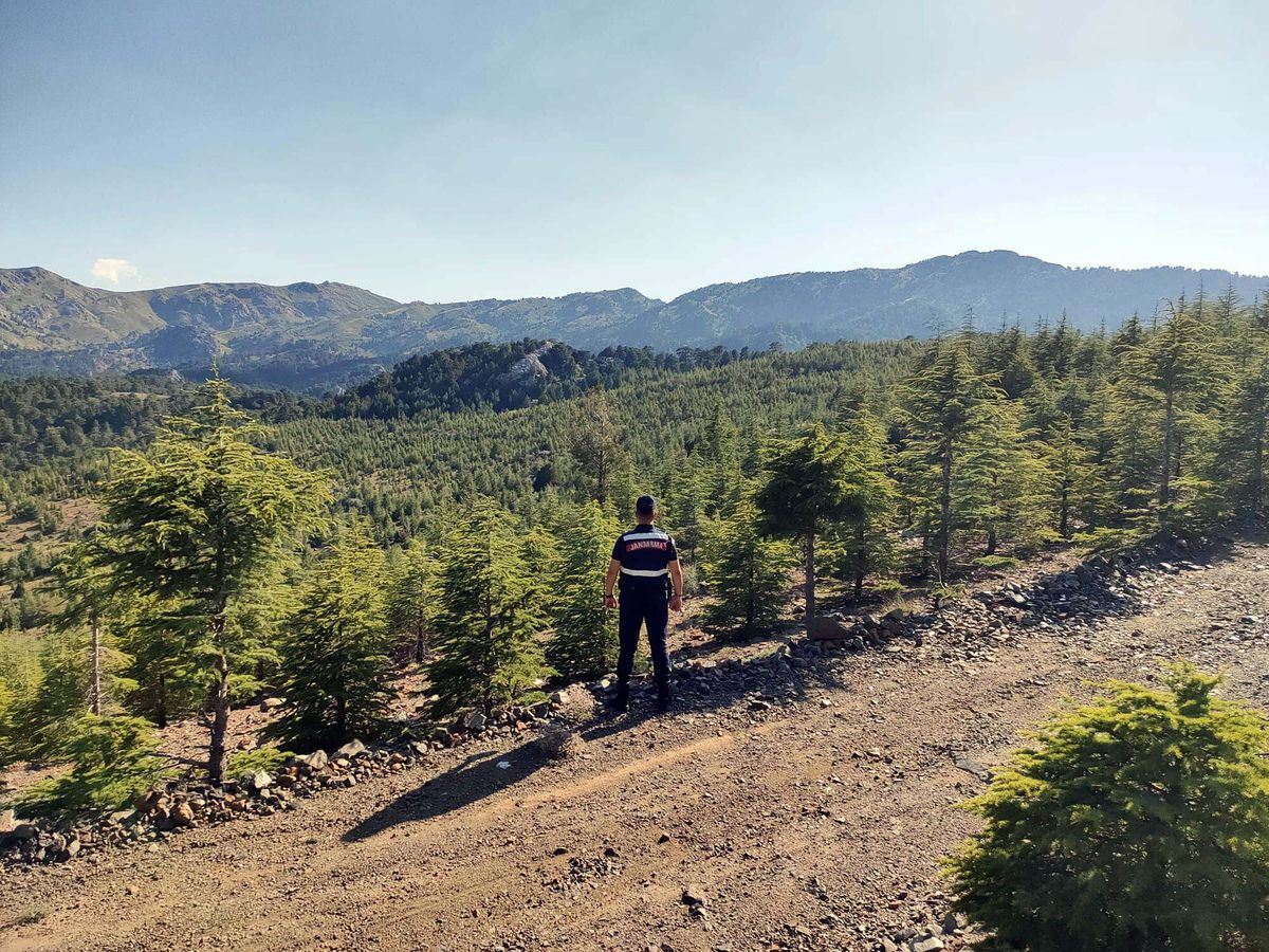 Muğla’da Orman Girişleri 5 Ay Yasaklandı