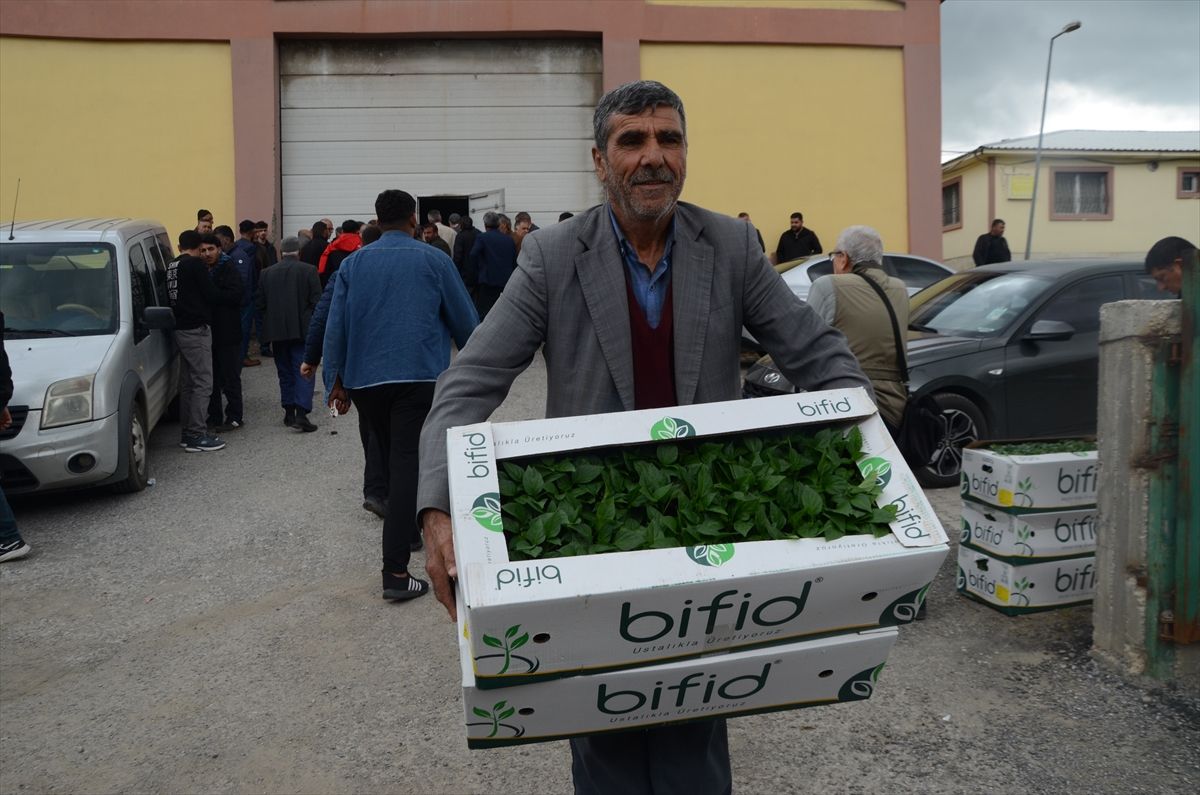 Muş’ta Çiftçilere Hibeli Fideler Dağıtıldı