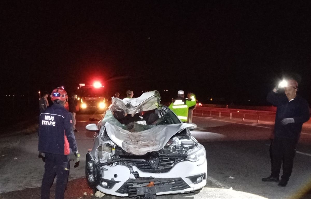 Muş’ta Otomobil Ata Çarptı: 4 Yaralı