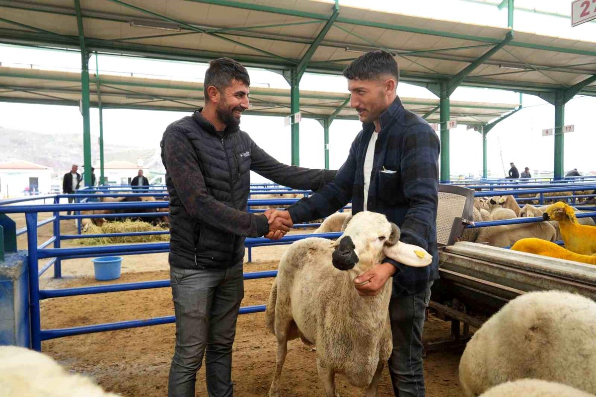 Niğde’de Kurban Pazarı Hareketli