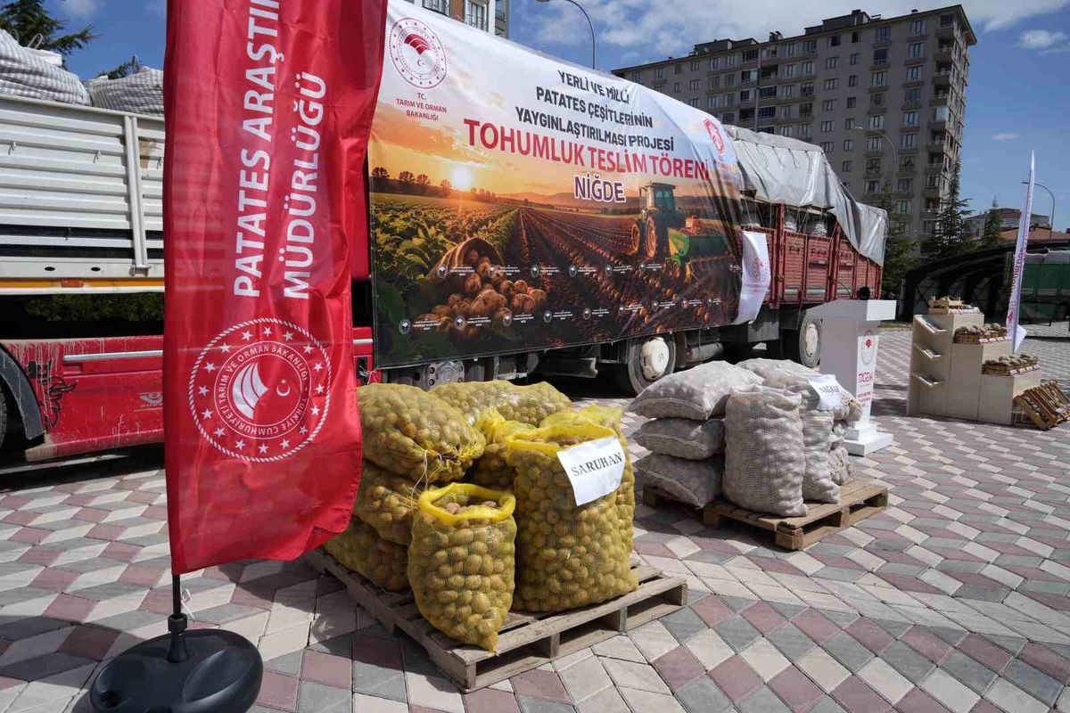 Yerli Tohum Patates Dağıtıldı