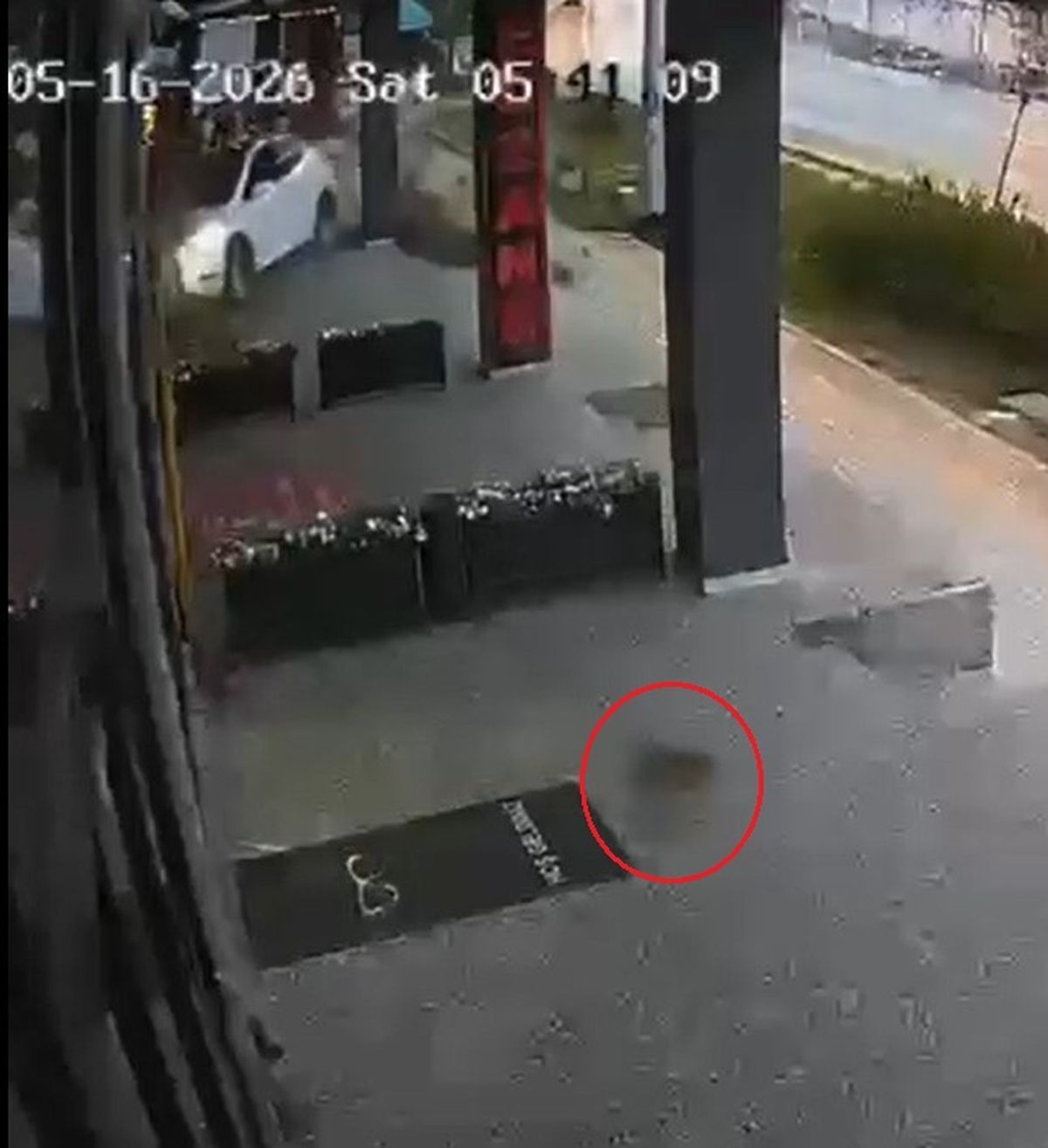 Bursa’da Otomobil Kaldırıma Çarptı, Kedi Son Anda Kurtuldu