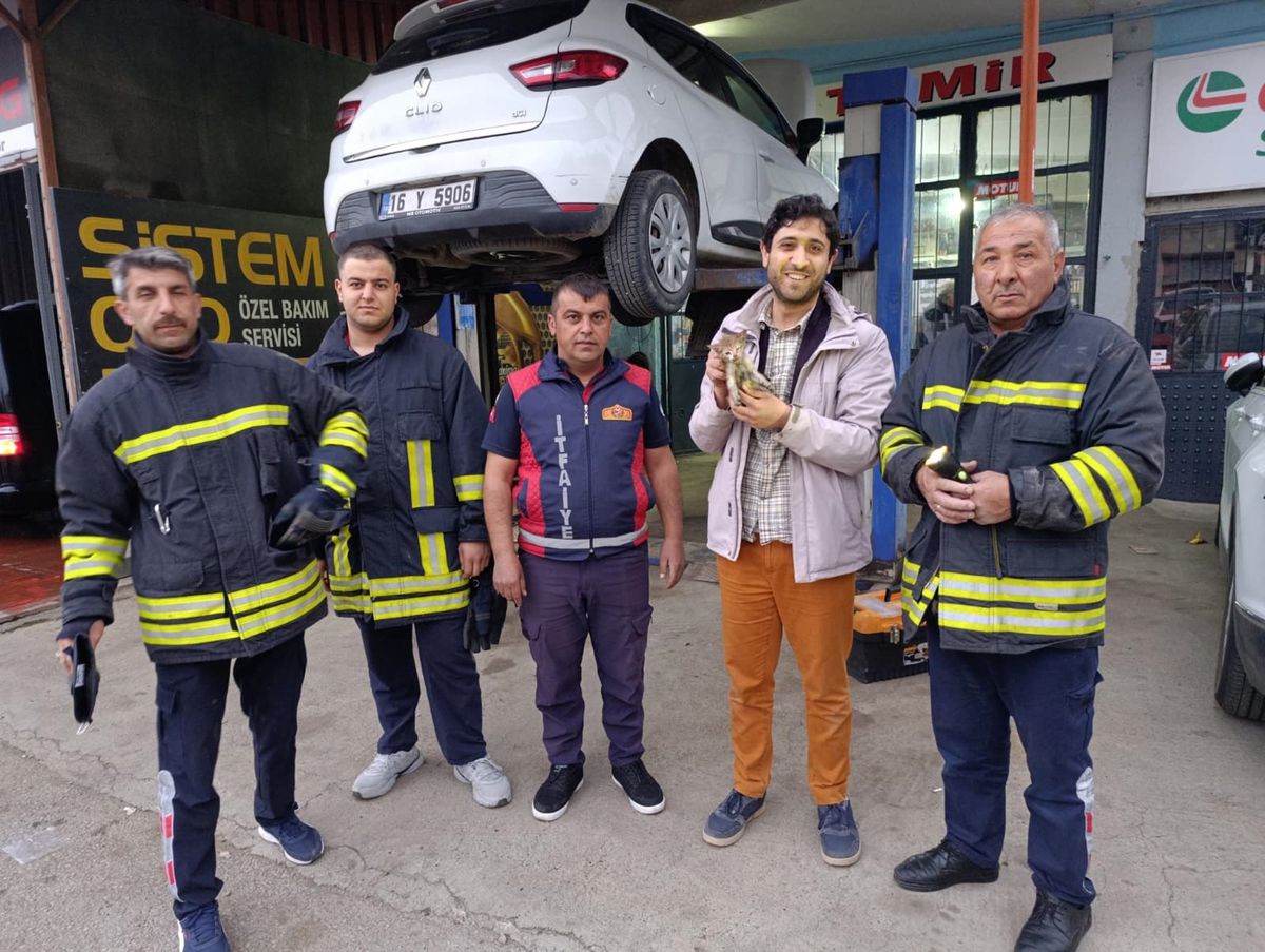 Otomobilin Motorundan Yavru Kedi Kurtarıldı