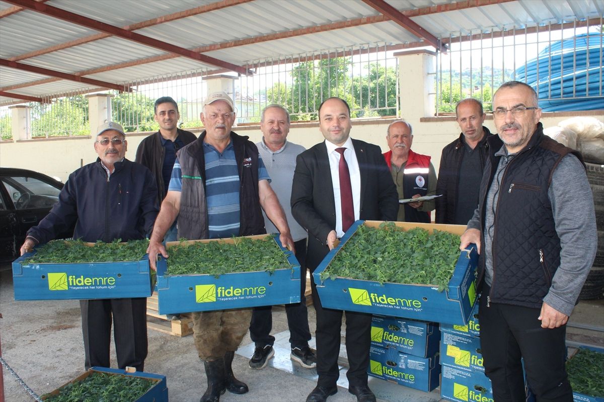 Tokat’ta Üreticilere 13 Bin Fide Dağıtıldı