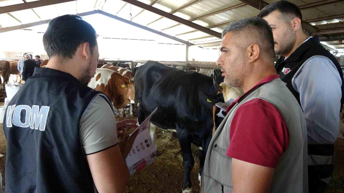 Adıyaman’da Kurban Pazarı Bilgilendirmesi