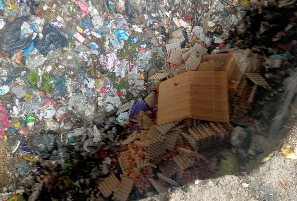 Sakarya’da 42 Bin Sahte Yumurtaya El Konuldu
