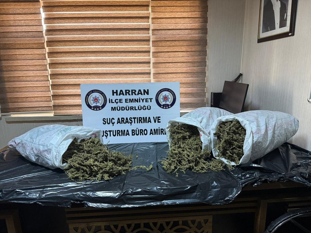 Harran’da 8 Kilogram Esrar Ele Geçirildi
