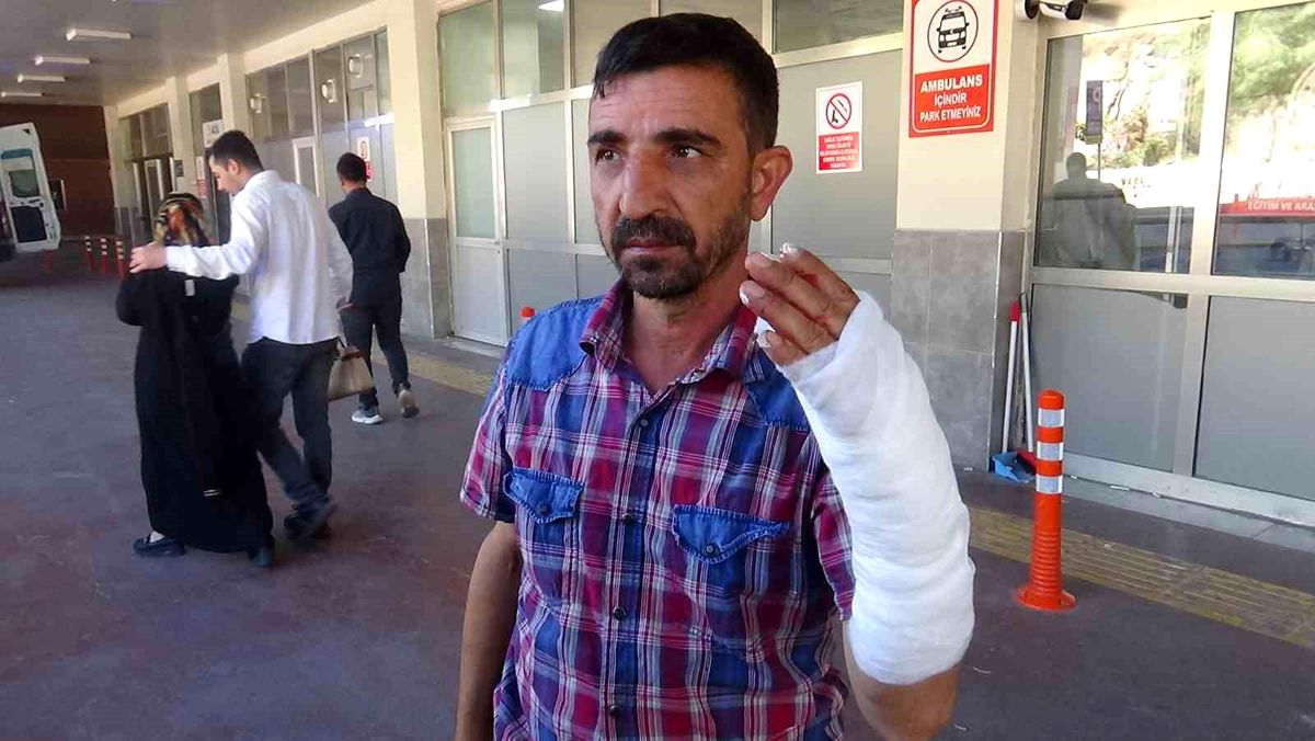 Şanlıurfa’da ‘acemi kasap’lar hastanelik oldu: 232 yaralı