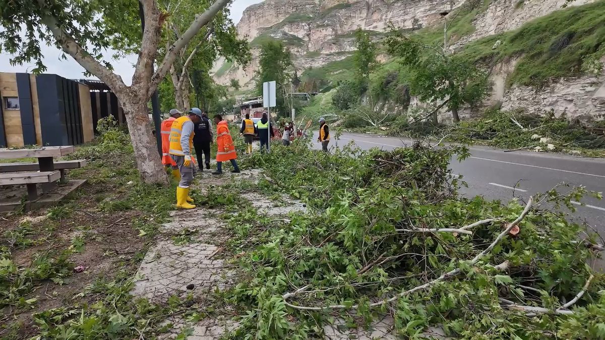 Birecik’te Fırtına Sonrası Temizlik Çalışmaları