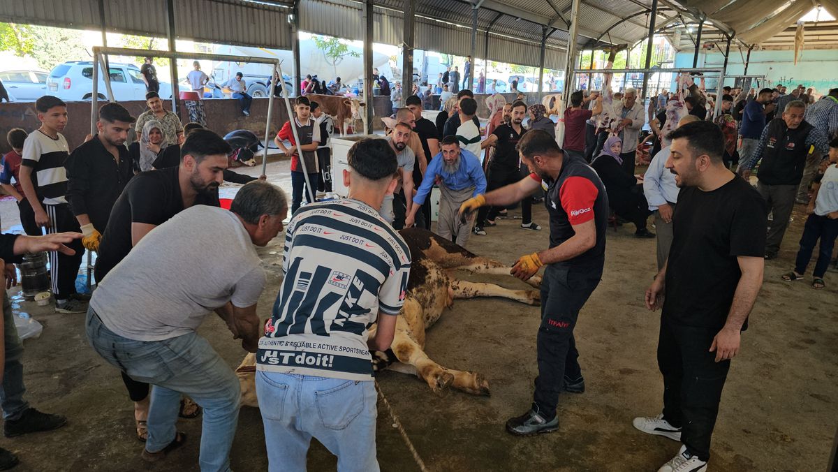 Şanlıurfa’da Kurban Bayramı Kesimleri Başladı