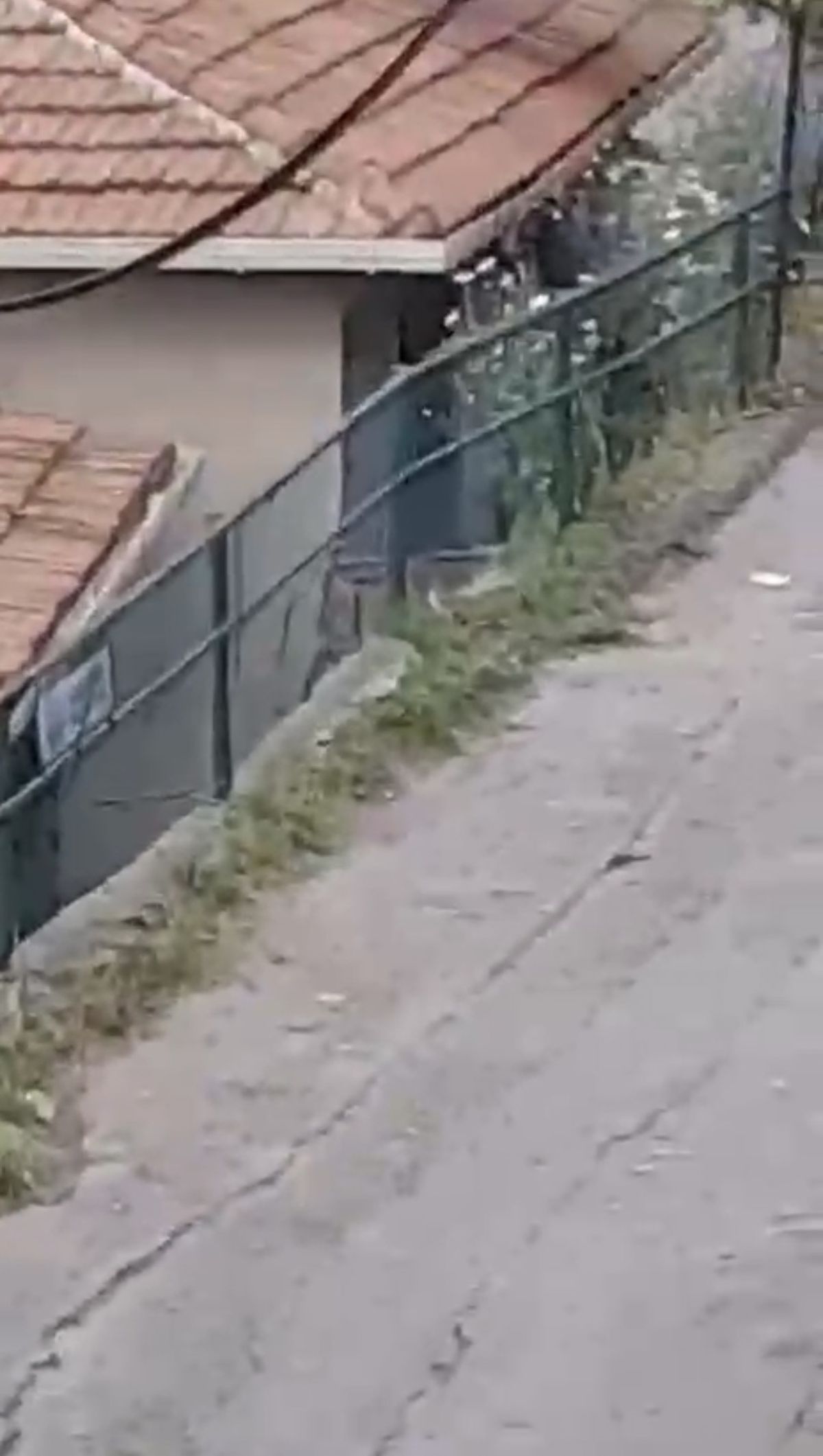Sarıyer’de bahçede kalaşnikof ve el bombası bulundu