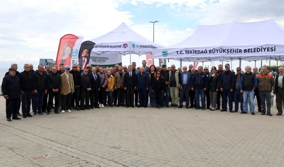 Sebze üreticilerine yarım milyon fide