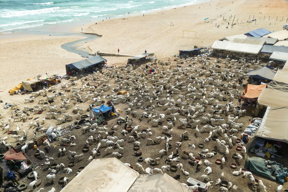 Dakar’da Kurban Bayramı Hazırlıkları