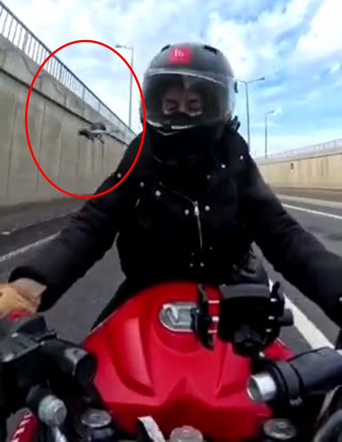 Motosiklet Sürücüsüne Güvercin Çarptı