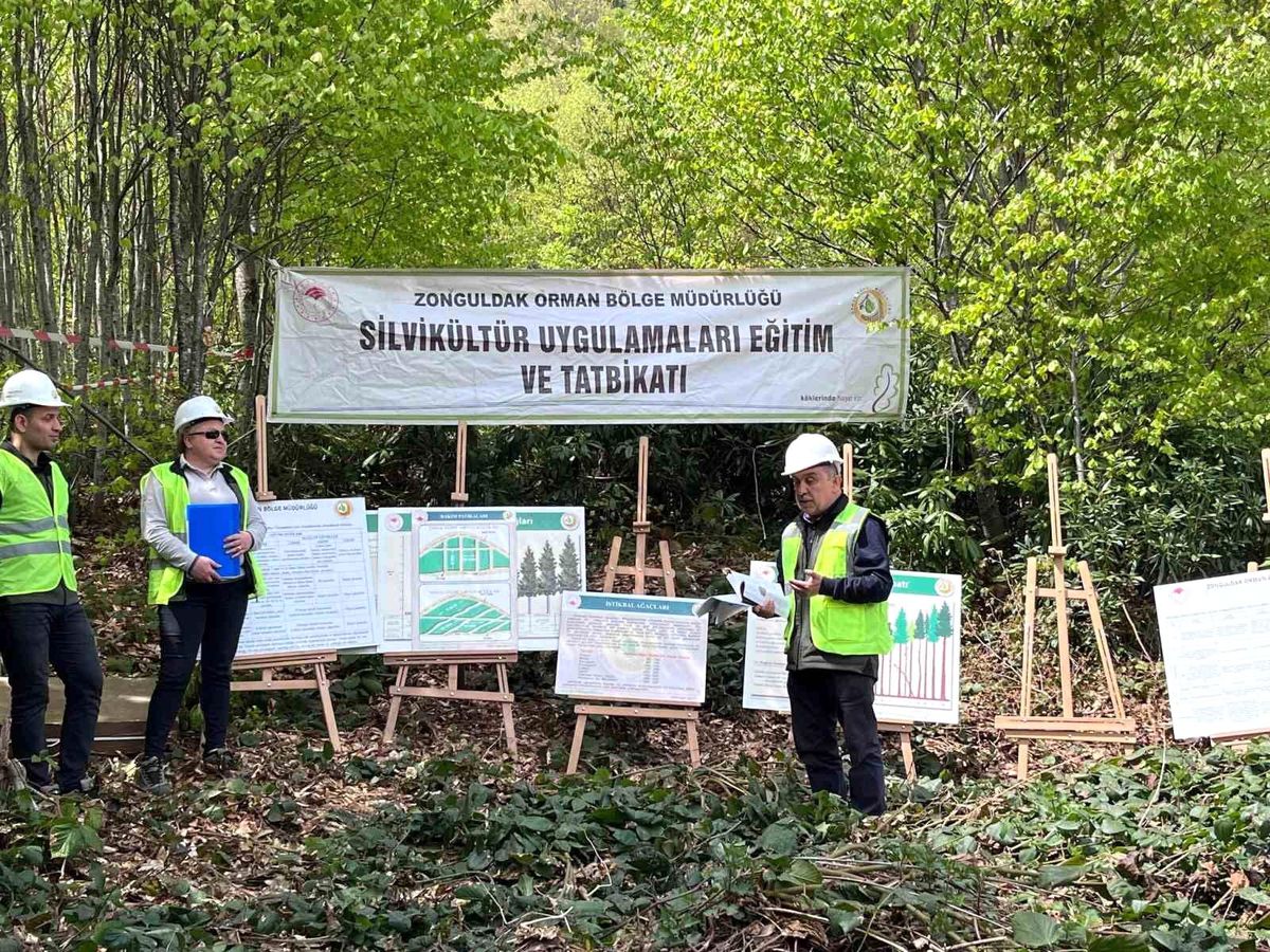 Zonguldak’ta Silvikültür Eğitimleri Tamamlandı