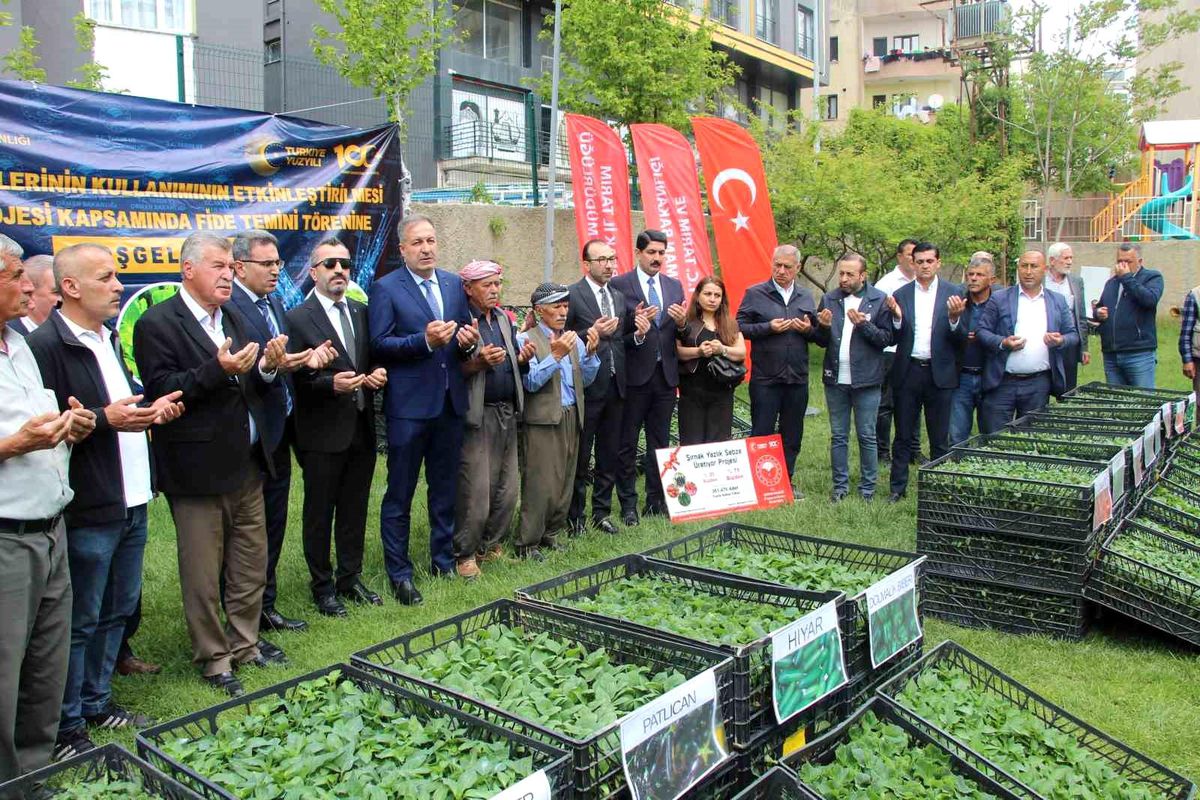 Şırnak’ta 252 üreticiye sebze fidesi dağıtıldı