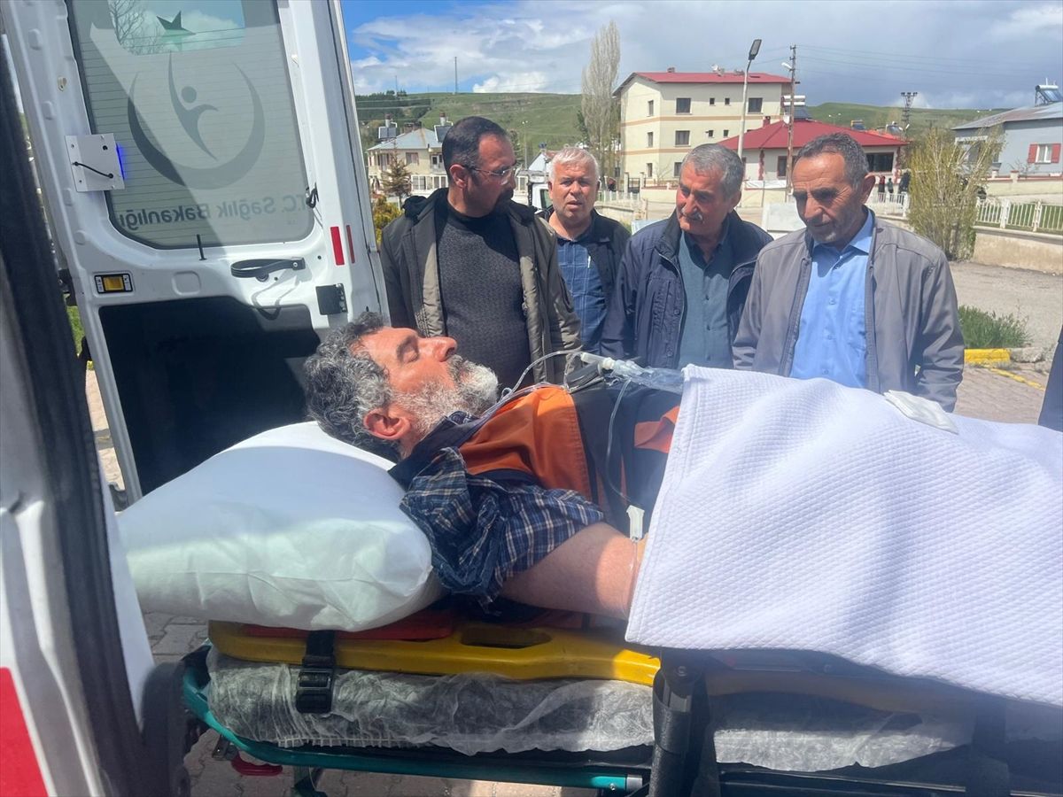 Sivas’ta Ayı Saldırısı: 1 Yaralı