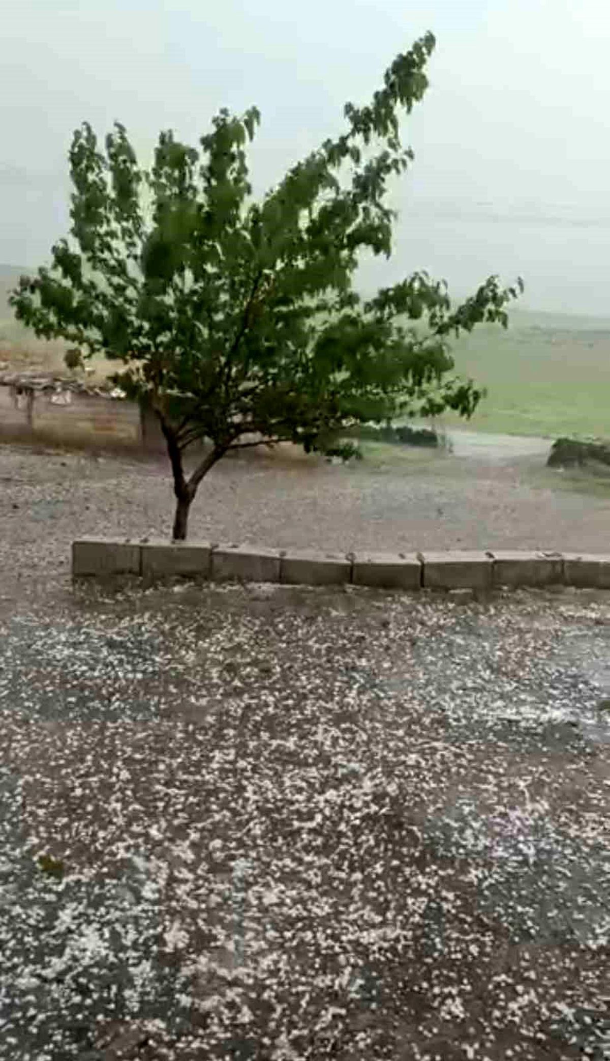 Şanlıurfa’da Dolu Felaketi