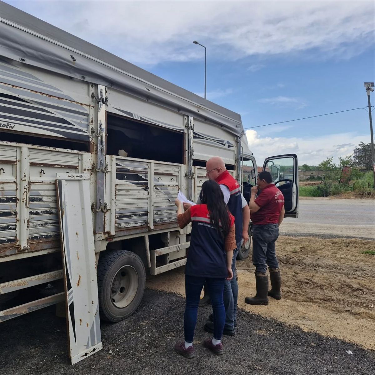 Kurban Bayramı Öncesi Canlı Hayvan Denetimleri Sıklaştı