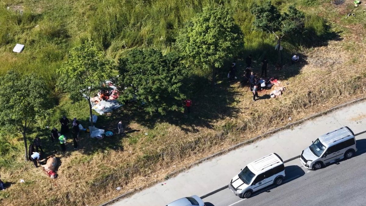 İstanbul’da Kurban Kesiminde Sıra Beklemeyenler Yola Çıktı