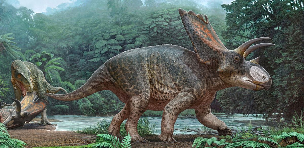 Tayland’da Yeni Dinozor Türü Keşfedildi