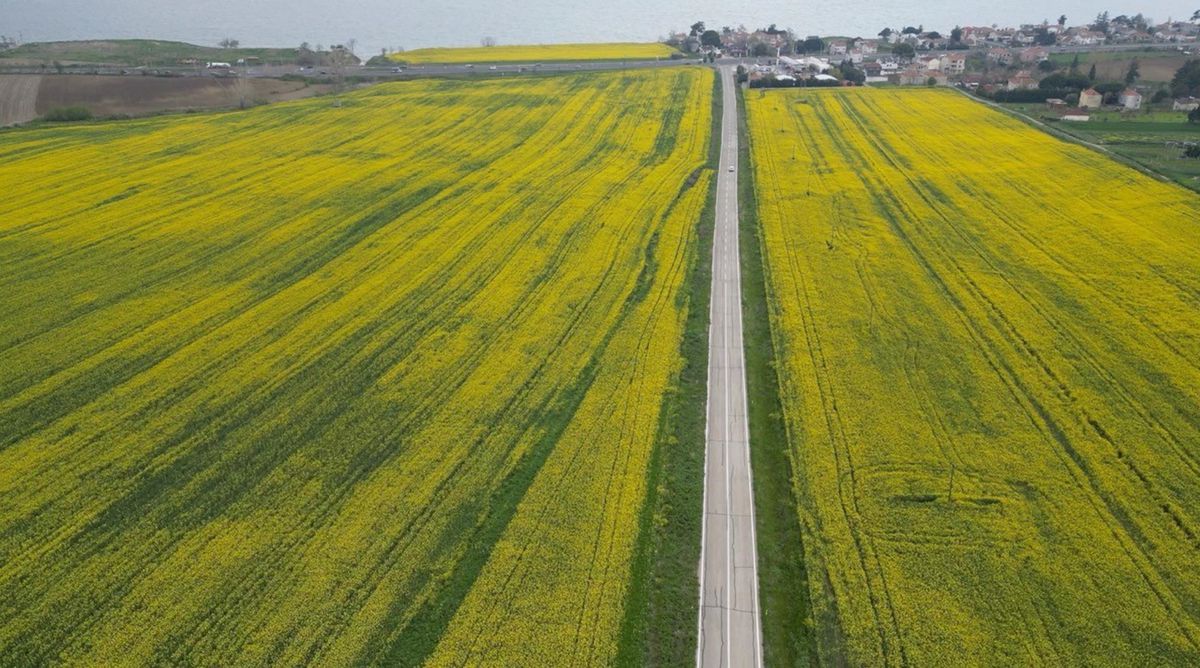 Tekirdağ’da Tarımda Verim Artışı Beklentisi