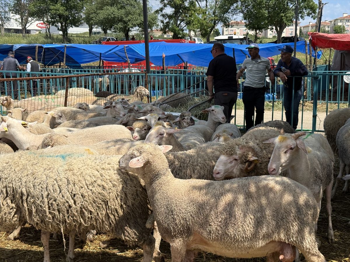 Tekirdağ’da Kurban Bayramı Hareketliliği