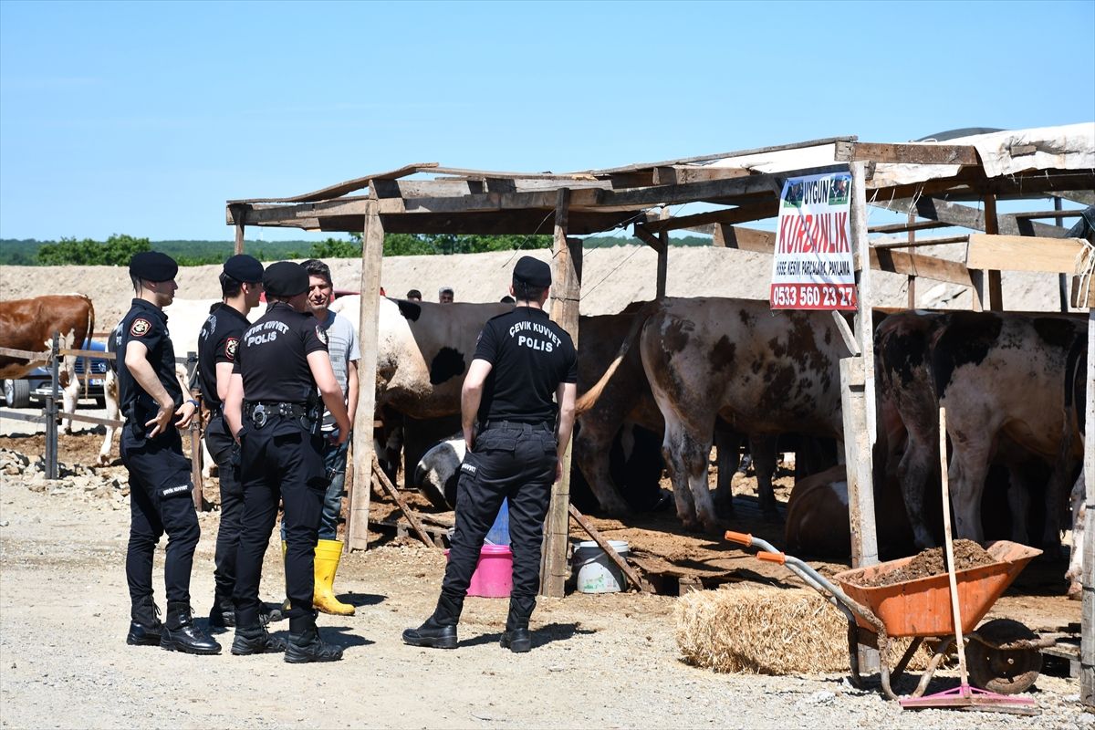Kurban Satış Alanında Kavga: 5 Yaralı