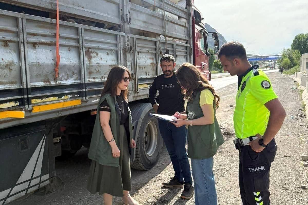 Tercan’da Kurbanlık Denetimleri Arttı