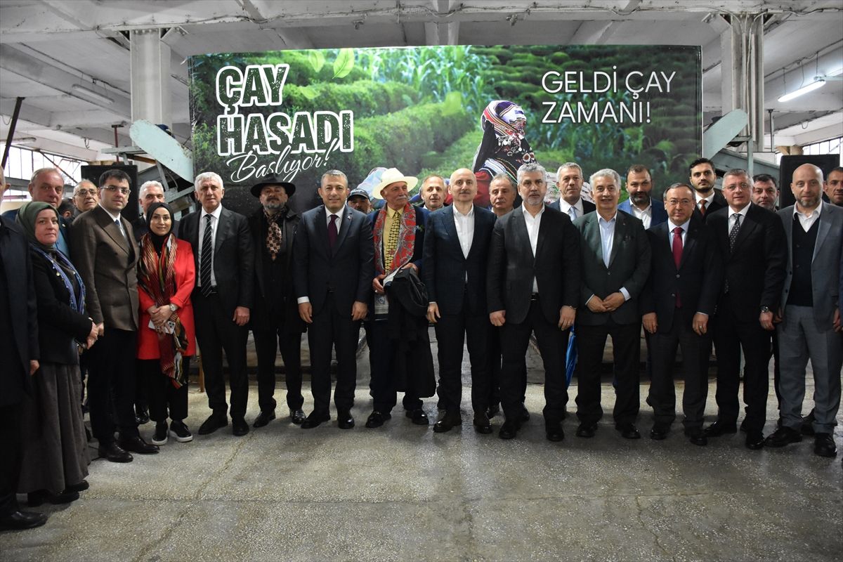 Trabzon Of’ta Çay Hasadı Törenle Başladı