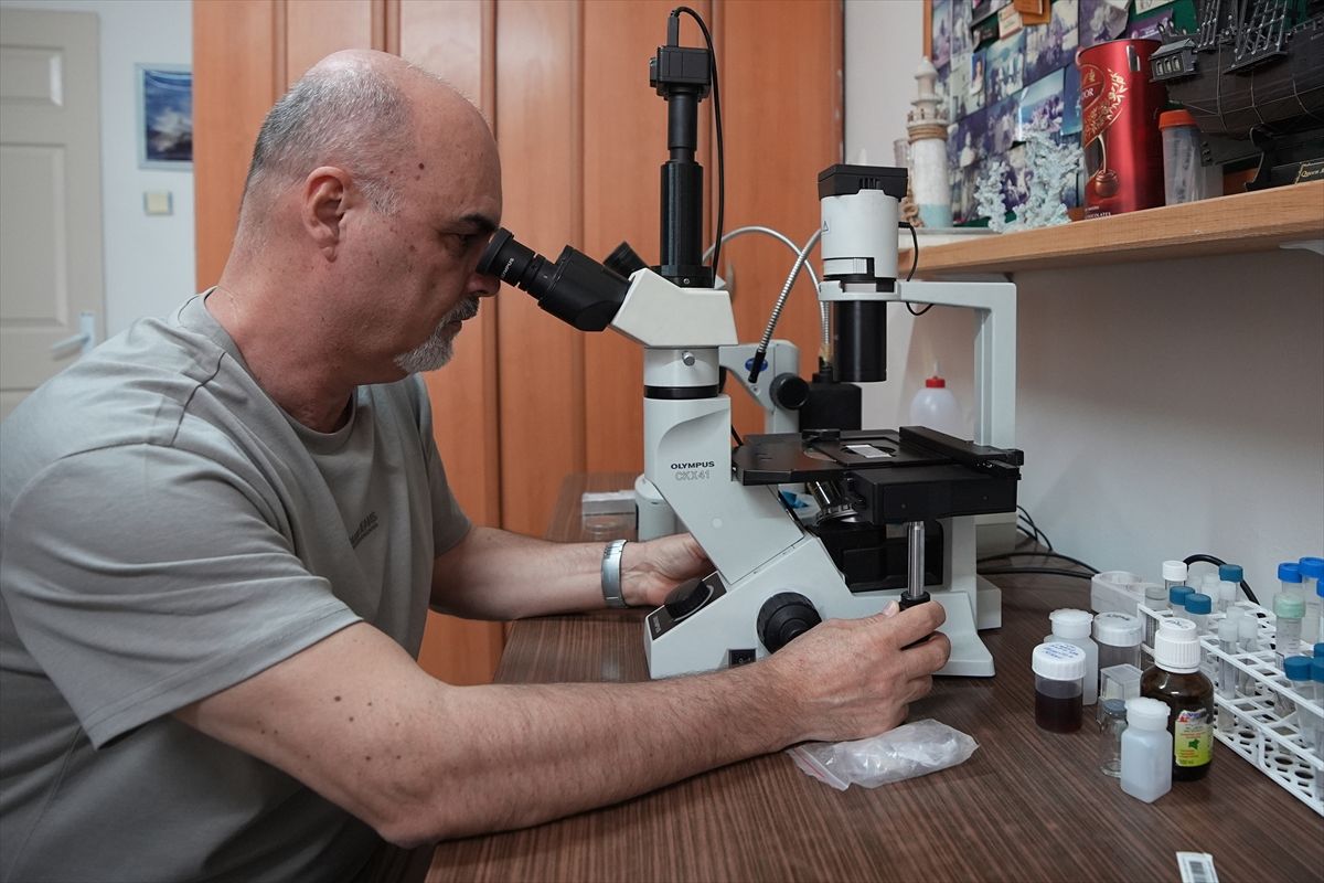 Türkiye’de 4 yeni endemik yangıç türü keşfedildi
