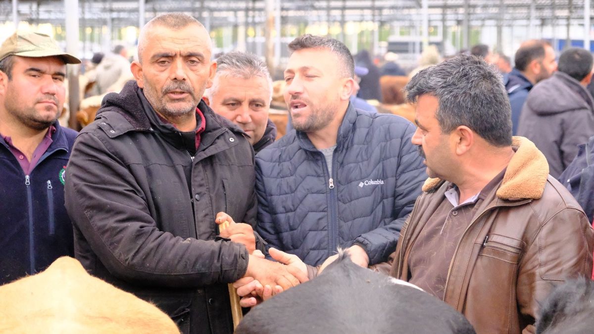Şarkışla’da Kurban Pazarı Yoğunluğu