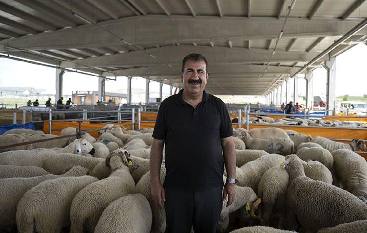 Kurban Bayramı’nda Dikkat Edilmesi Gerekenler