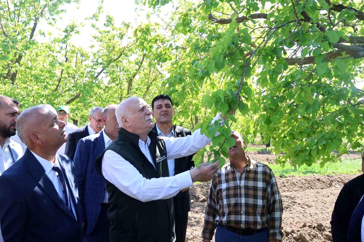 Zirai Don ve Doğal Afetler Iğdır’da İncelendi