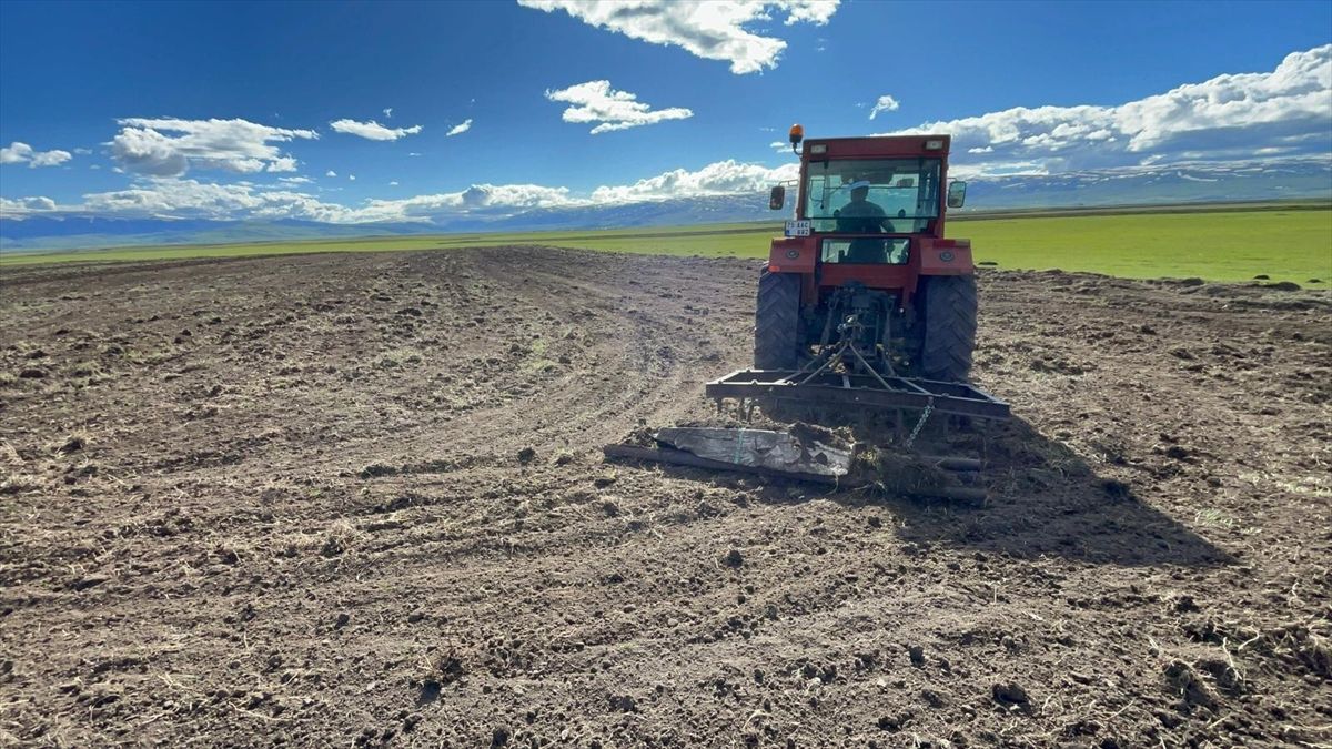 Ardahan’da Ekim Sezonu Başladı