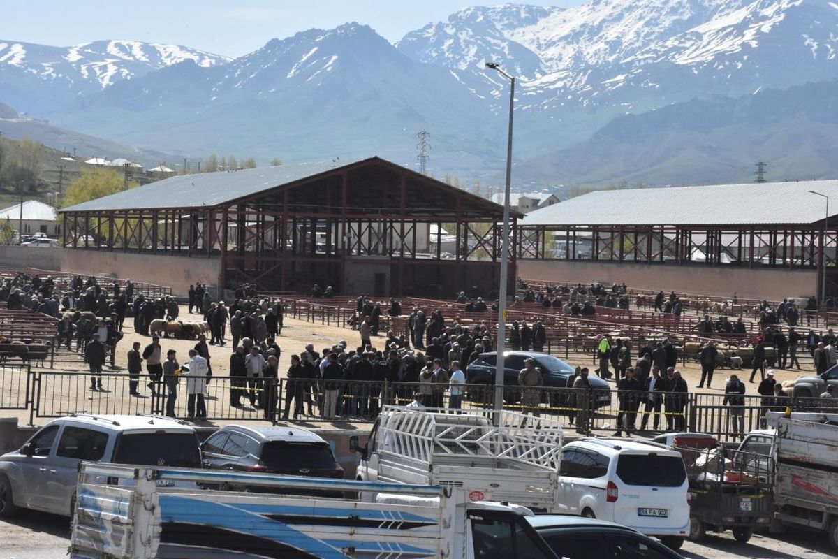 Van’da Canlı Hayvan Pazarında Silahlı Kavga: 1 Ölü, 13 Yaralı
