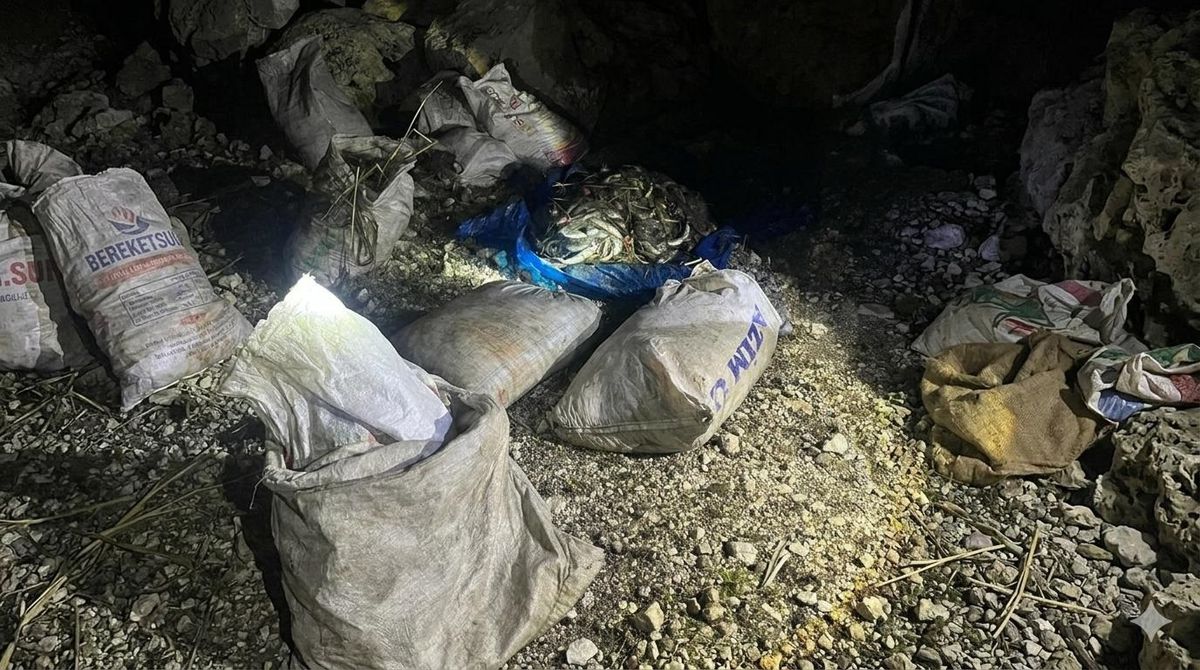Van’da kaçak avlanan bir ton inci kefali ele geçirildi