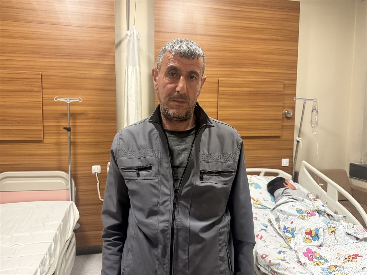 Van’da Sahipsiz Köpeklerin Saldırısı