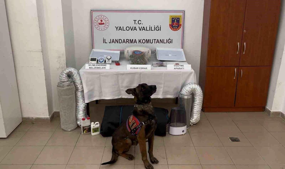 Yalova’da Düzensiz Göç Operasyonu