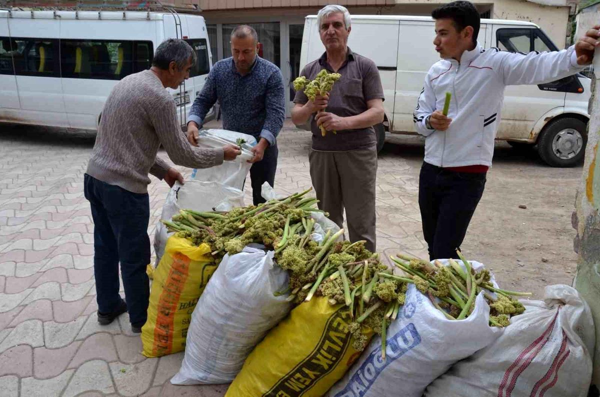 Işgın Tercan’da Satışta