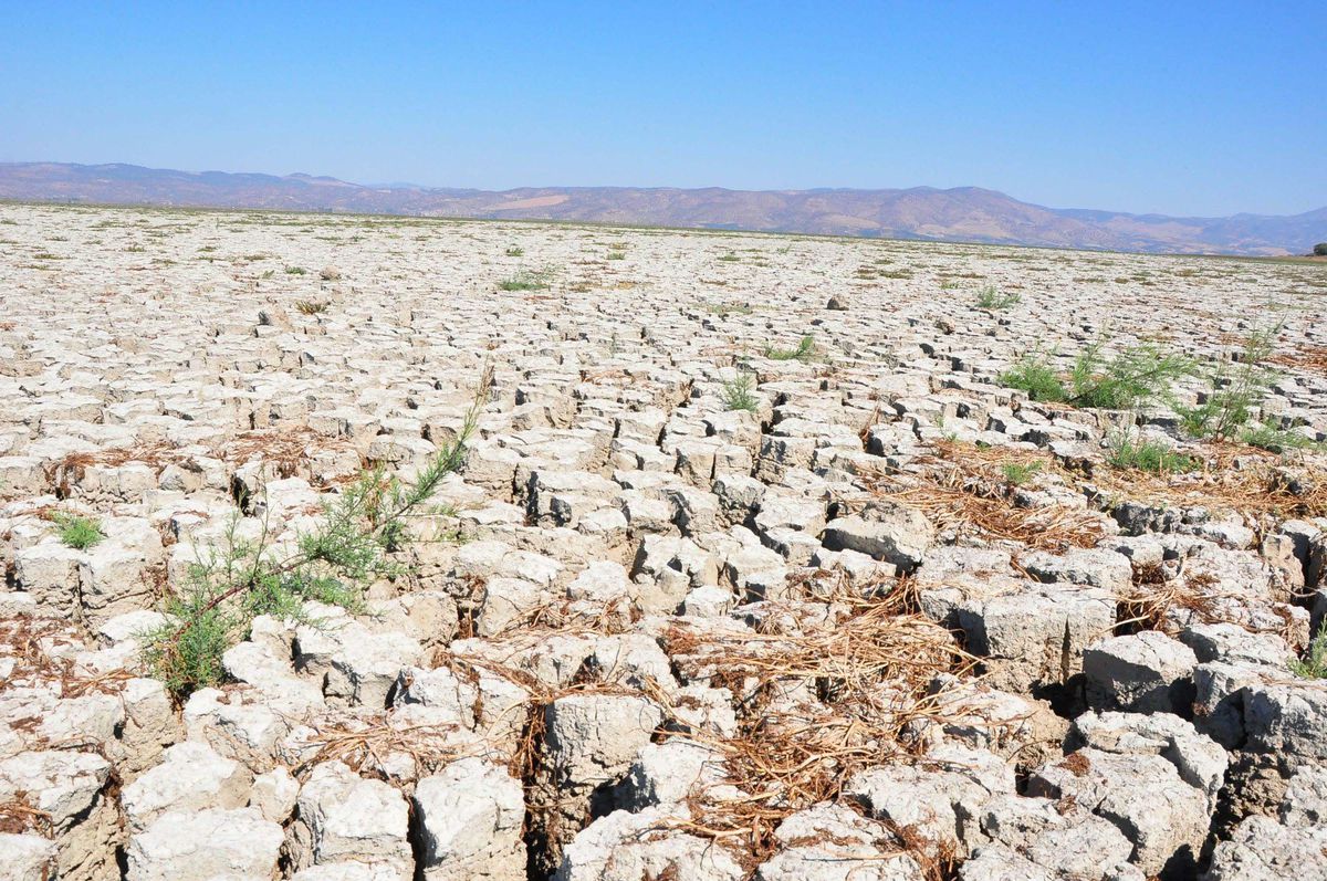 İzmir’de Ekstrem Sıcaklıklar Bekleniyor