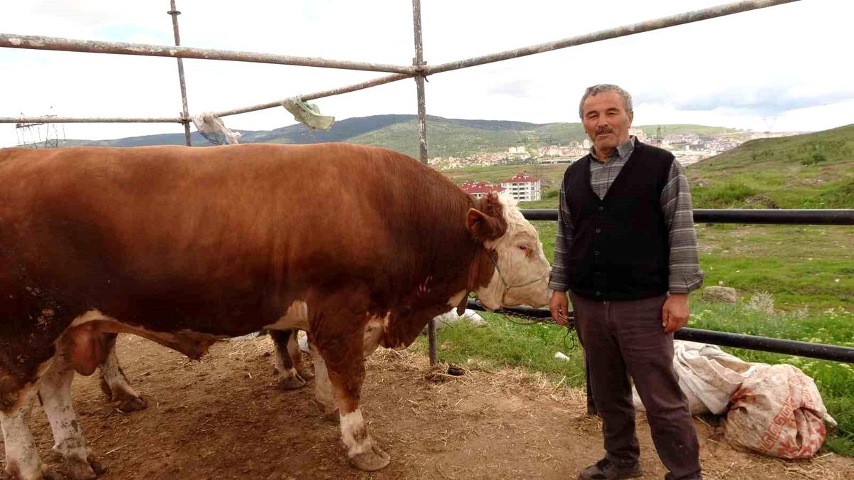 Yozgat’ta Kurban Pazarı Hareketliliği
