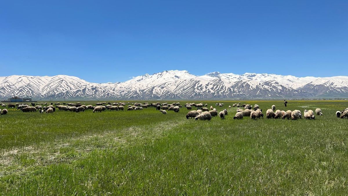 Yüksekova’nın Bahar Güzelliği