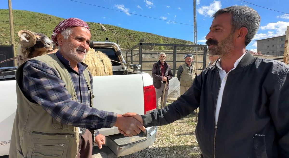 Yüksekova’da hayvan pazarında bayram hareketliliği