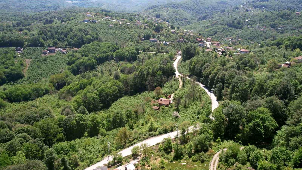 Zonguldak’ta Bahar Manzaraları