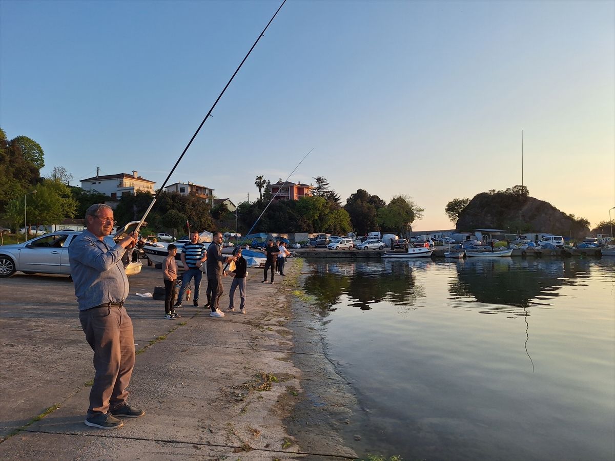 Alaplı’da İstavrit Bolluğu