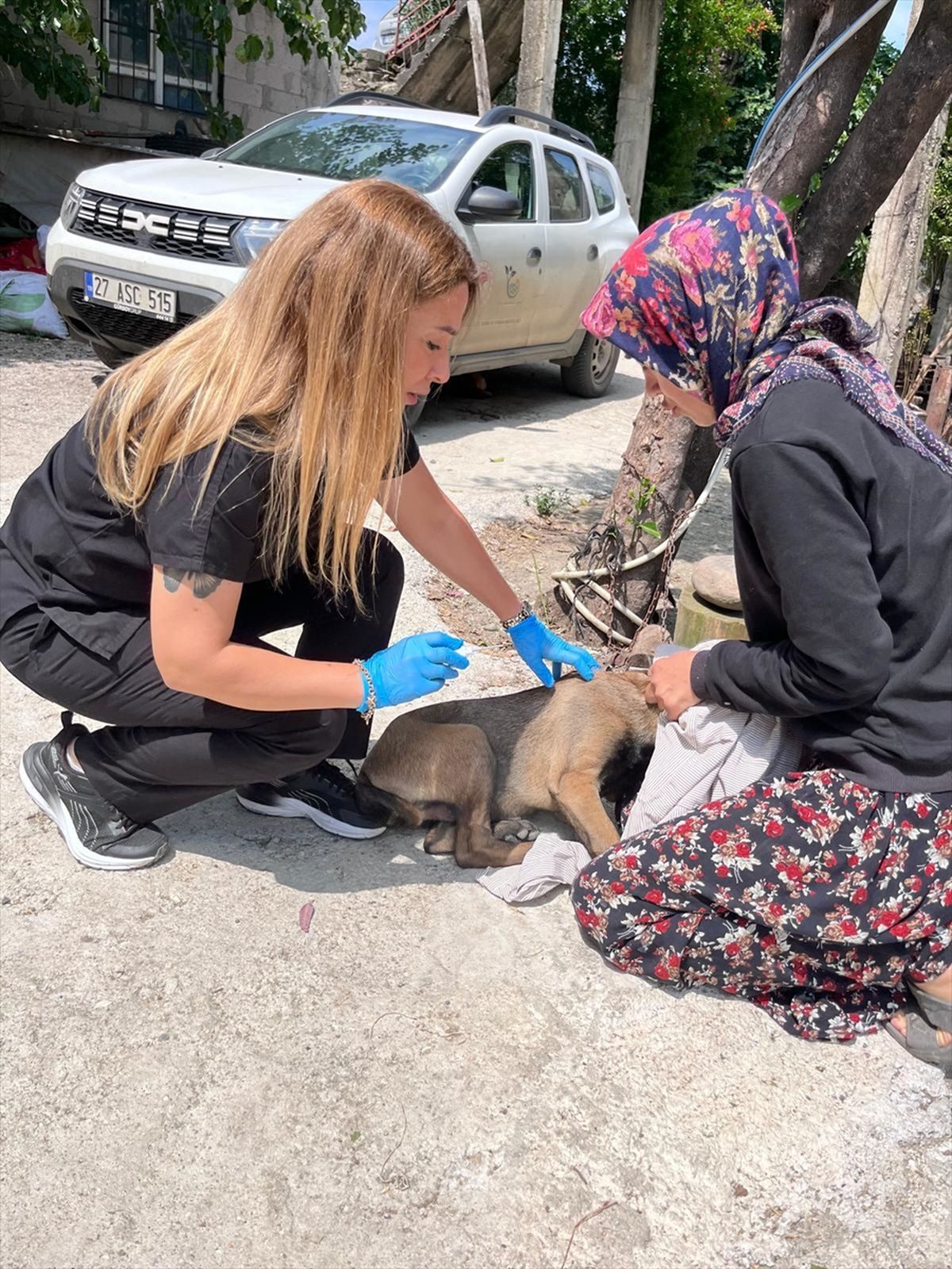 Adana’da Sahipli Köpekler Kimliklendiriliyor