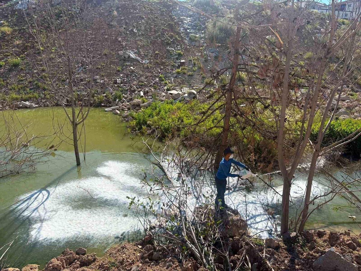 Adıyaman’da sivrisinek ve haşerelere karşı ilaçlama çalışması