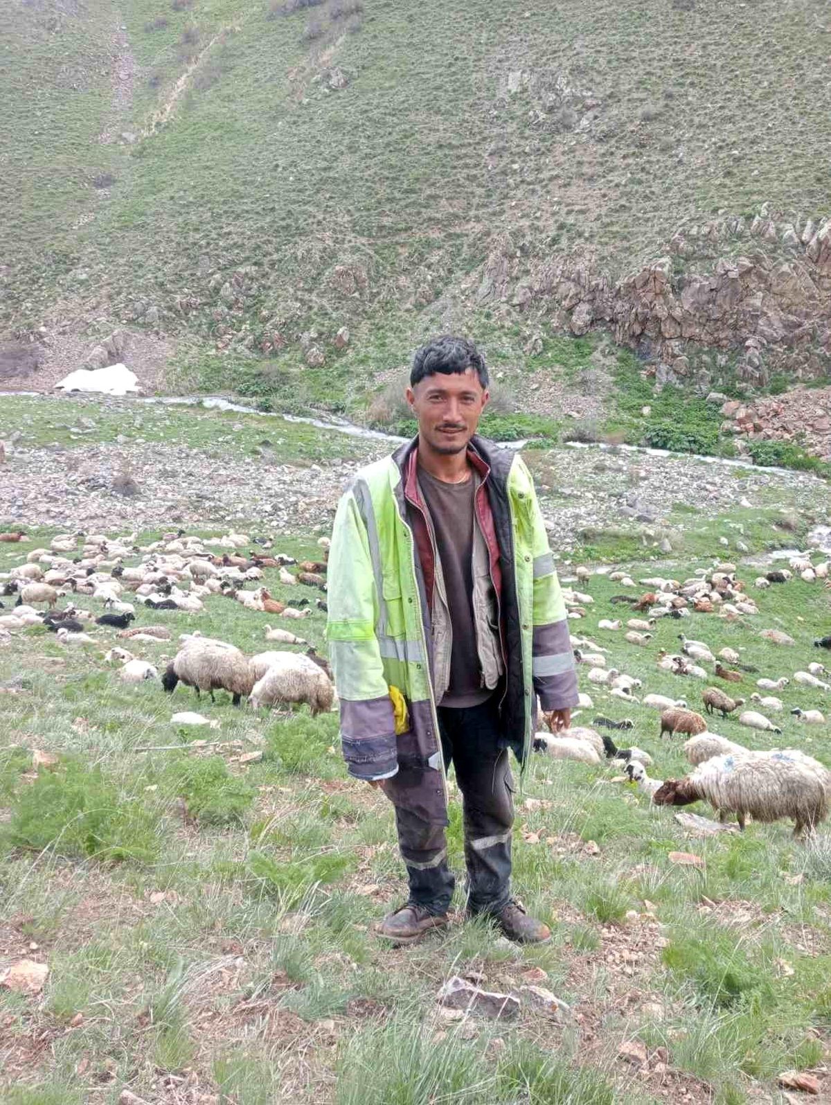 Ağrı’da Çoban Cinayeti: Zanlı Yakalandı